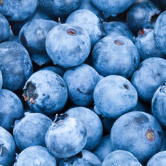 Bunch of fresh blueberries - close up studio shot