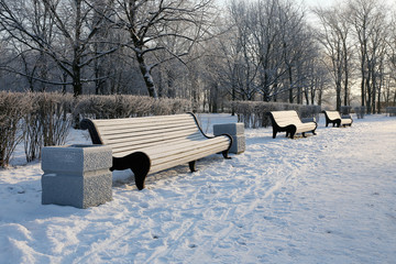 empty bench in Winter Park
