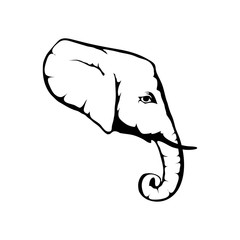 Elephant on white background