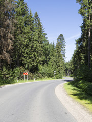 Fototapeta na wymiar asphalt road in the woods