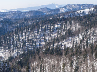 Zima i las na stokach górskich w Beskidzie Sądeckim © jakubczajkowski