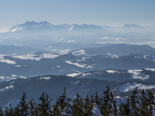 Widok na Podhale i Tatry z wieży widokowej na szczycie Radziejowej © jakubczajkowski