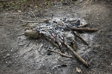Campfire Ashes