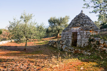 trulli country abandoned and olive tree