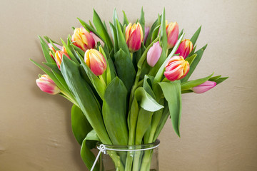 Colorful tulips in glass vase. Gold background.