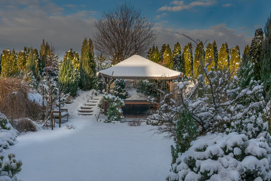 Winter garden