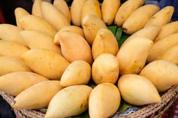 Close up mango for background