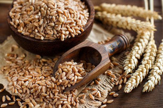 Uncooked Whole Spelt Grain In A Bowl With Spelt Ears