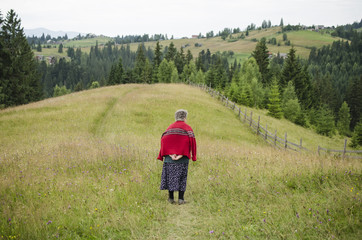 Naklejka na ściany i meble elderly woman in a field