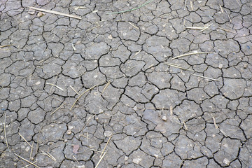 Close up of dry cracked ground for background