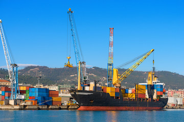 Fototapeta premium Container Ship in the Harbor / Container ship and crane in the harbor of La Spezia, Liguria, Italy