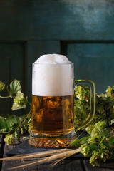 Mug of lager beer