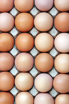 Chicken brown eggs in a tray, the top view.