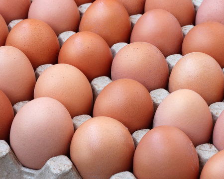 Chicken brown eggs in packing , the top view.