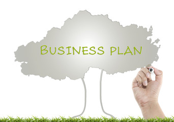 Business plan with drawing a tree