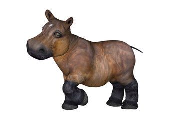 Fototapeta premium Little Hippo on White