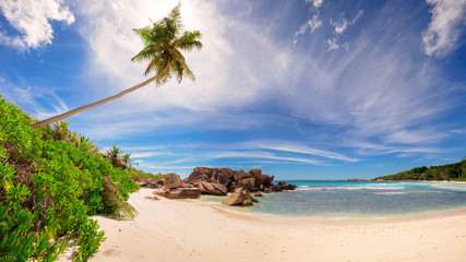 Untouched sandy beach with palm trees and granite rocks in background panorama on La Digue, Seychelles