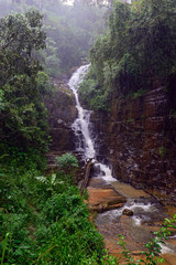 Tropical downpour in Sri Lanka