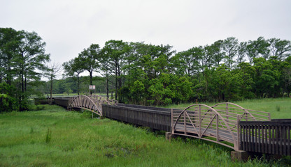 Fototapeta na wymiar Rookery Bridge Side/Side view of wooden bridge leading out into marshland