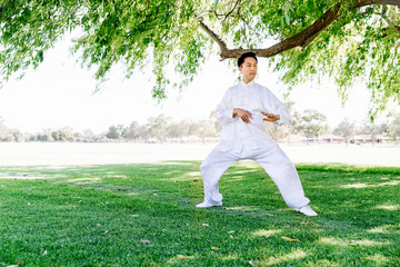 Handsome man practicing thai chi