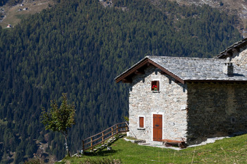 Fototapeta na wymiar Quiet life on the slopes of the Alps
