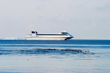 Catamaran ferry