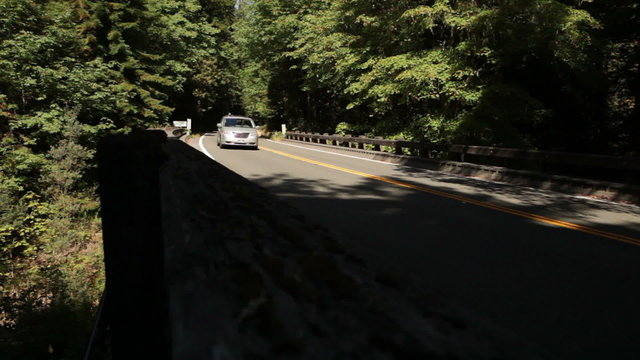 Cars Crossing Curved Forest Bridge