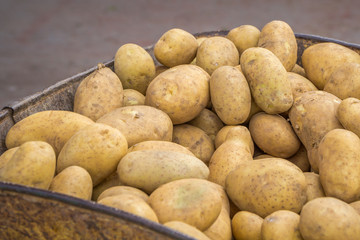 Potatoes in packaging for transportation