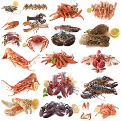 Door stickers Sea Food seafood and shellfish
