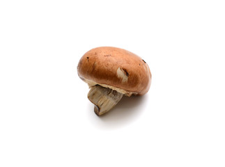Fototapeta premium Baby bella mushroom on a white background