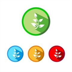 Obraz premium Icono de una hoja sobre fondos de colores