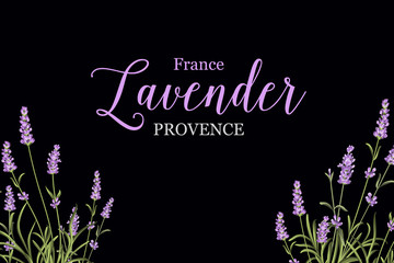 Lavender sign label.