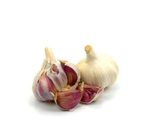 Knoblauch - Allium sativum