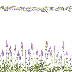Obrazy  Linia ramek Lavender Seamless.