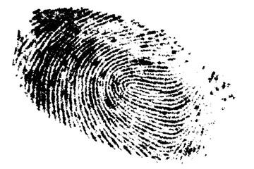Fingerprint / Fingerprint on white background, digital retouch.