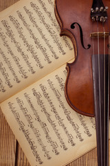 Music instrument violin