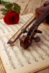 Music instrument violin