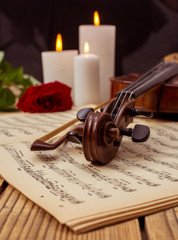 Music instrument violin
