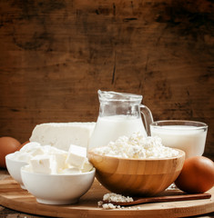 Farm organic dairy products: milk, yogurt, cream, cottage cheese