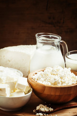 Farm organic dairy products: milk, yogurt, cream, cottage cheese