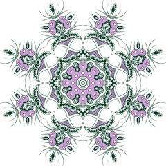 Mandala ethnic indian illustration design