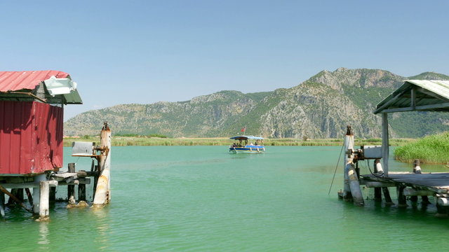 boat tour river reeds, historical dalyan, ortaca, koycegiz, turkey