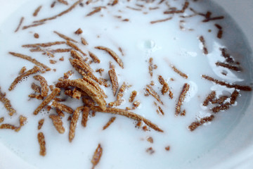 フルーツグラノーラ