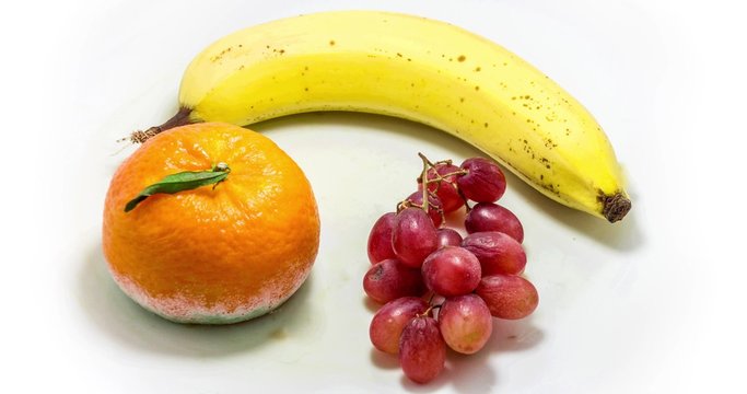 Obst verrottet, verfault im Zeitraffer, 6 Wochen in 20 Sekunden