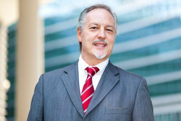 Naklejka premium Mature businessman smiling