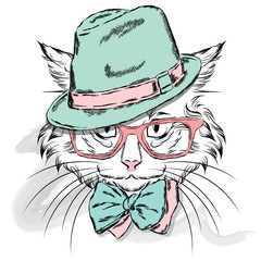 Obrazy  Wektor kota. Kot kreskówka. Ładny kot w ubraniach. Hip hop. Kot w czapce i okularach. Hipsterski. Pocztówka z kotem.