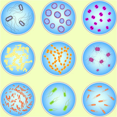 Fototapeta na wymiar stylized image of different types of bacteria