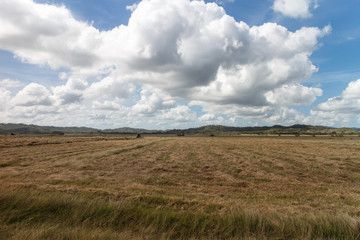 Field dried view with clouds on sky