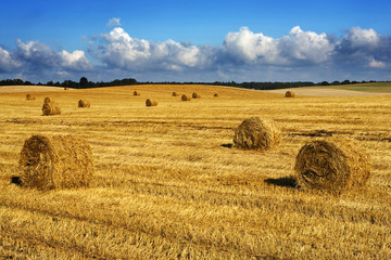 Fototapeta na wymiar Agricultural scenery with bales of straw