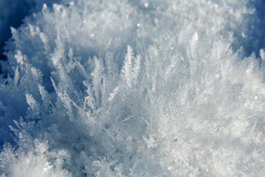 Eiskristalle Tannen